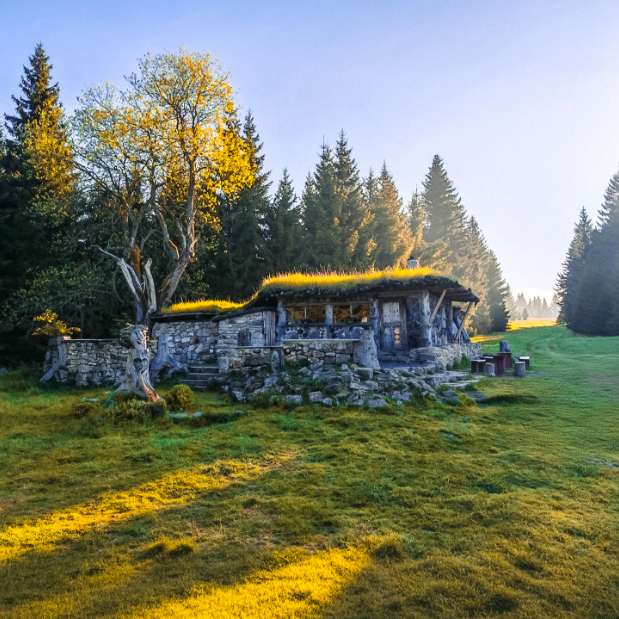 Hobbit Forest Bistro