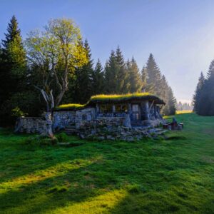 Forest Bistros Trail & the Silver Mine
